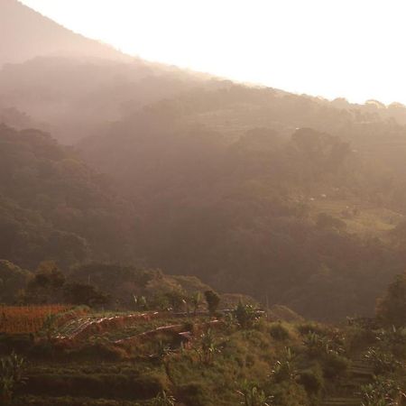 Pondok Kebun Gunung Bedugul  Esterno foto